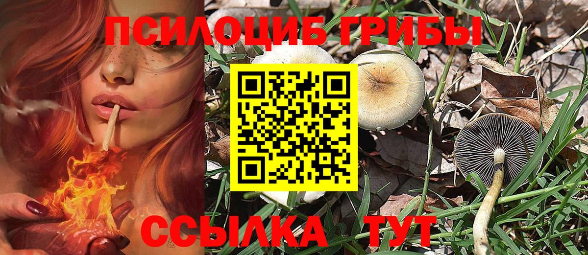 Псилоцибиновые грибы мухоморы Ханты-Мансийск